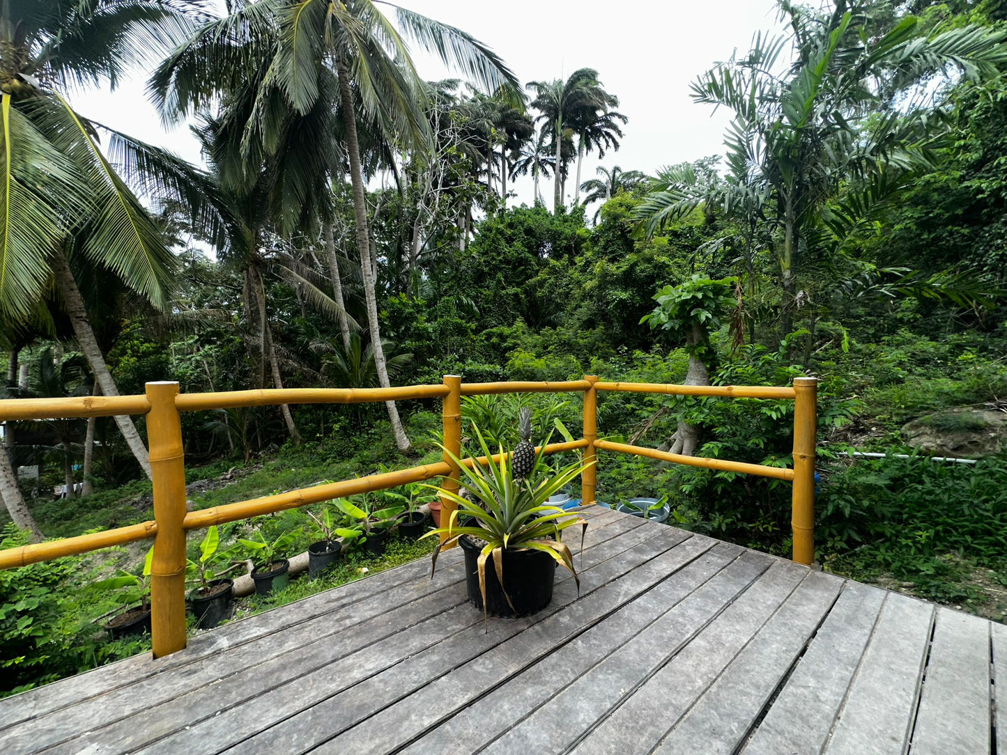 Bespoke Bamboo Balustrade Systems