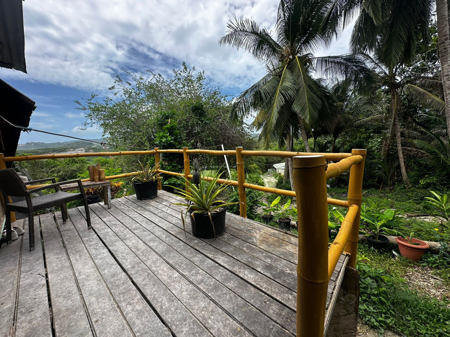 Bespoke Bamboo Balustrade Systems