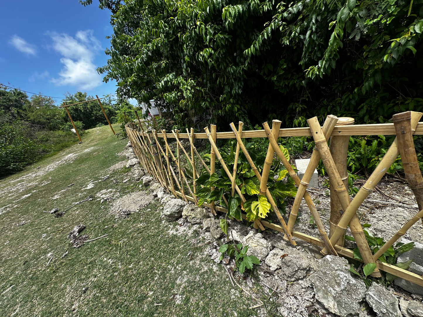 Bamboo Fencing