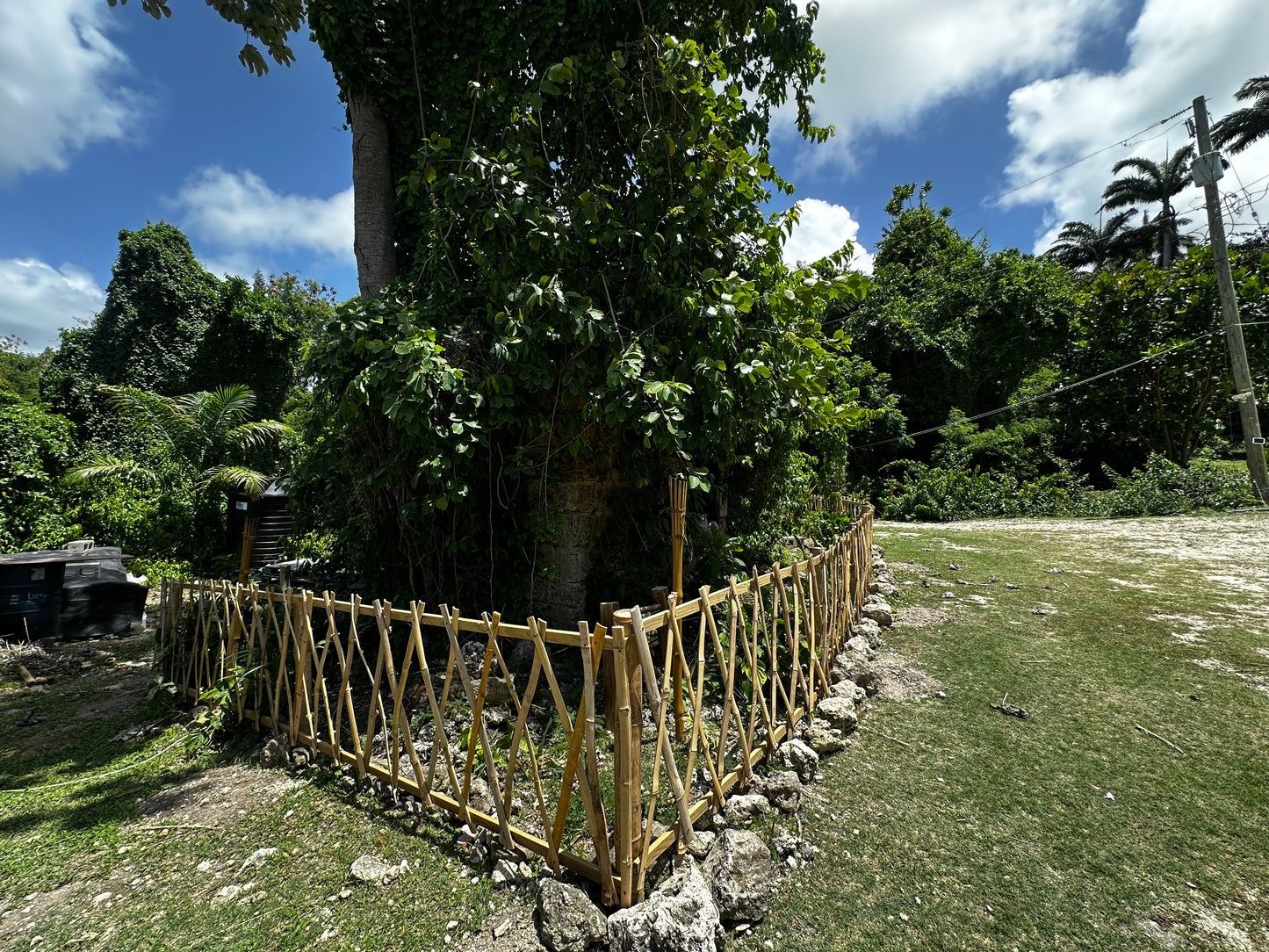 Bamboo Fencing