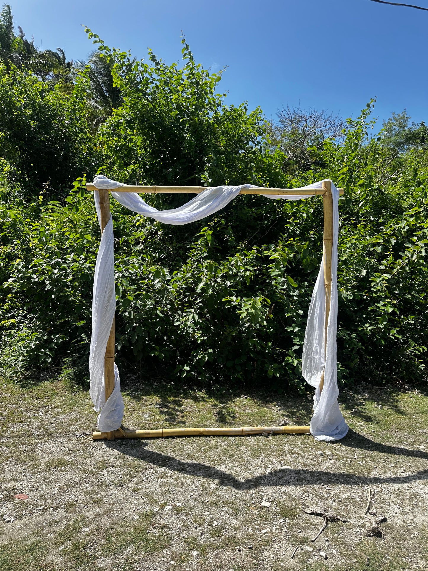 Bamboo Backdrop (Photoshoot & Event Rental)