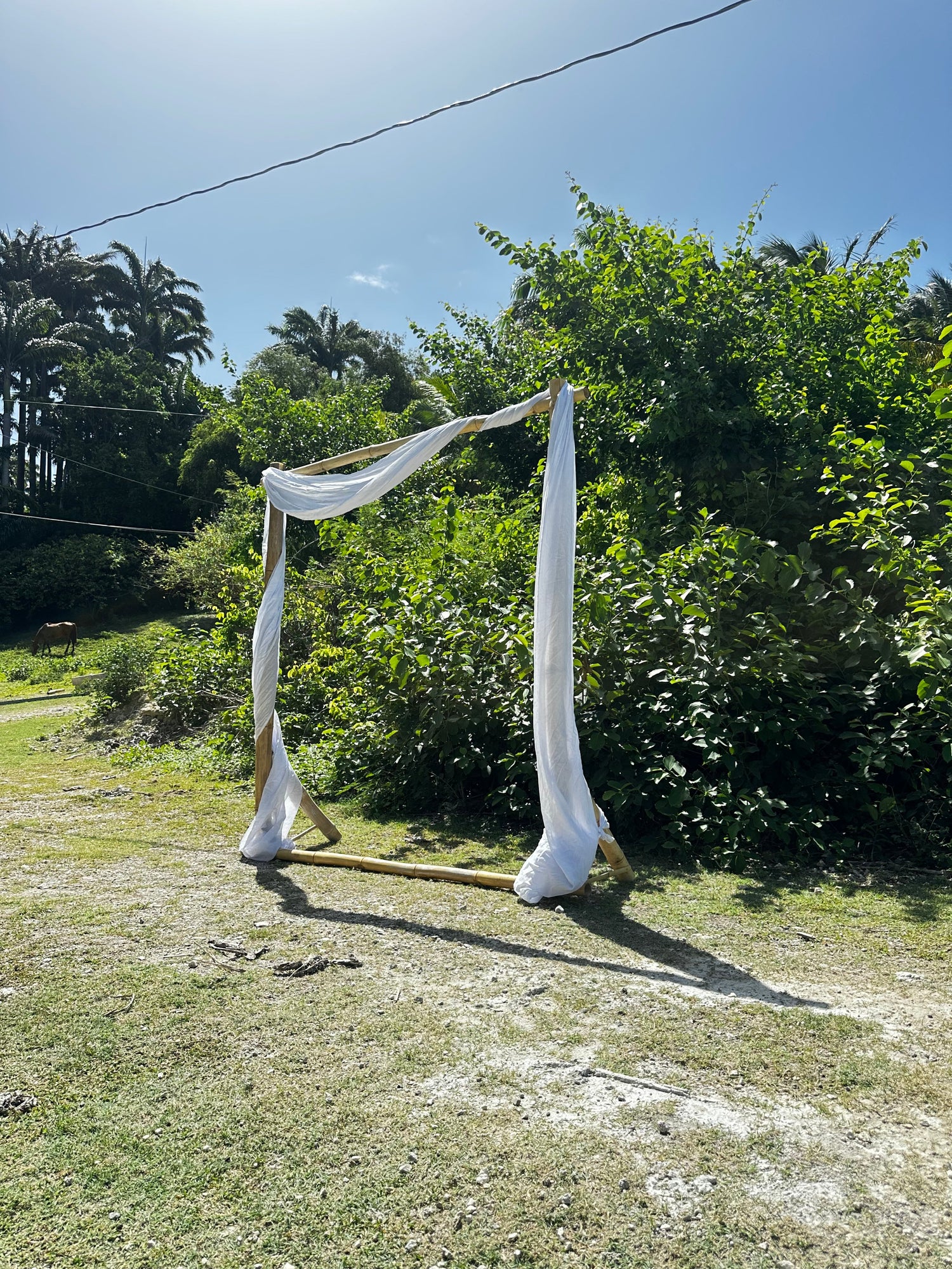 Bamboo Rentals for Unforgettable Moments