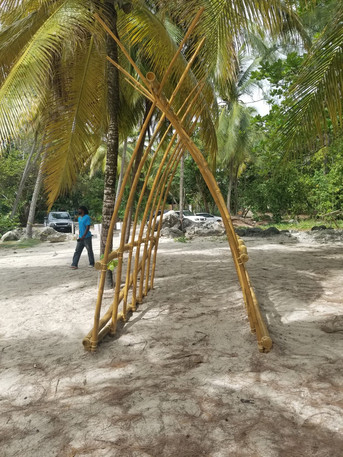 Bamboo Dome Entryway