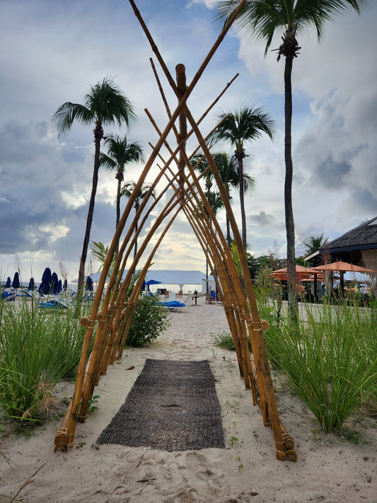Bamboo Dome Entryway