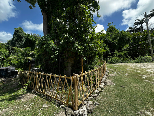 Bamboo Fencing