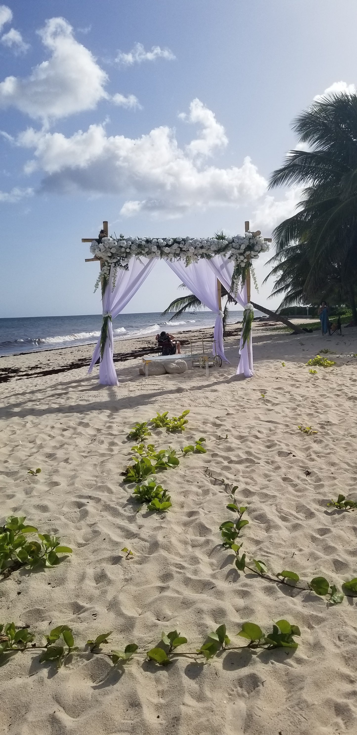 Bamboo Pergola Rental